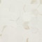 Msi Eden Calacatta 3 In X 3 In. Matte Porcelain Hexagon Floor & Wall Tile, 8PK ZOR-PT-0635 - alternate 1